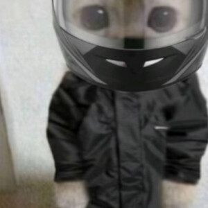 Tahia S - Kapi'olani Community College  Babysitter