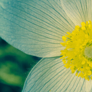 Sarah W - North Central Texas College  Babysitter