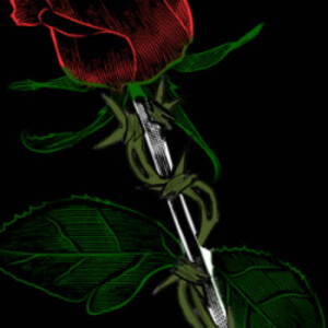 Allison G - Berklee Babysitter