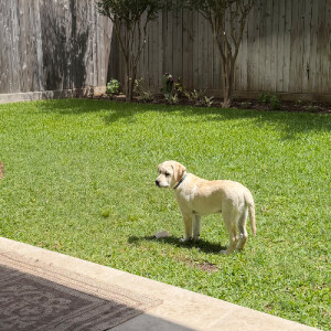 Jill B - NKU Babysitter