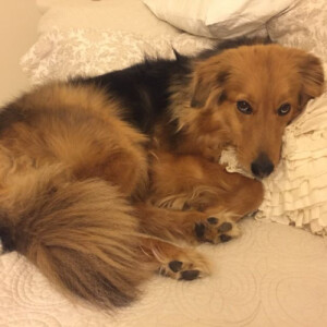 Kendall M - Regent Babysitter